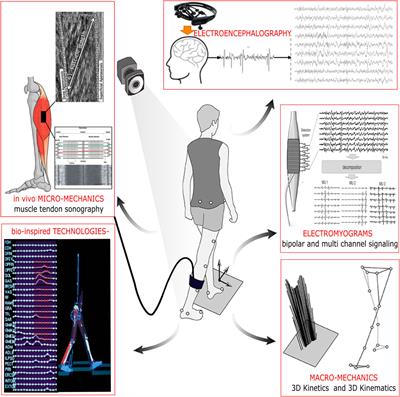 Editorial: Neuromechanics in Movement and Disease With Physiological and Pathophysiological Implications: From Fundamental Experiments to Bio-Inspired Technologies